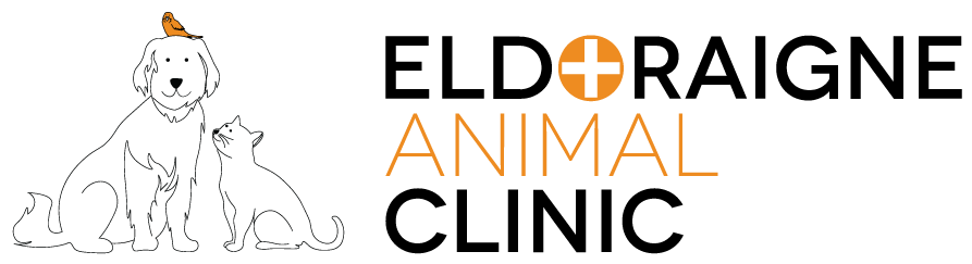 Eldoraigne Animal Clinic | Vet | Centurion