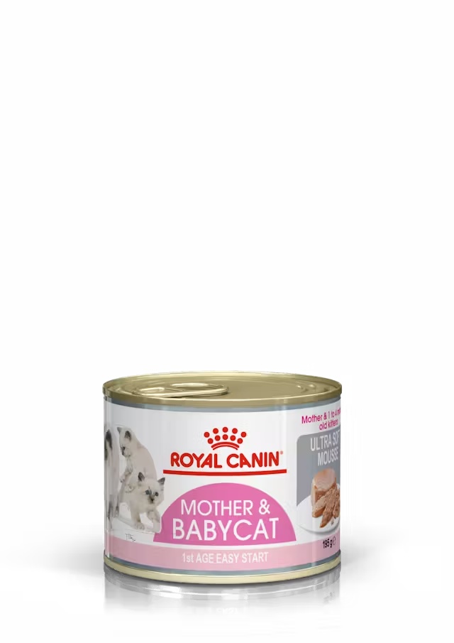 Royal Canin Mother and Babycat Mousse - Tray of 12 Tins