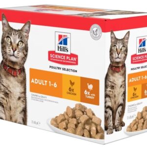 Hill's Science Plan Adult Chicken and Turkey - Multi Pack