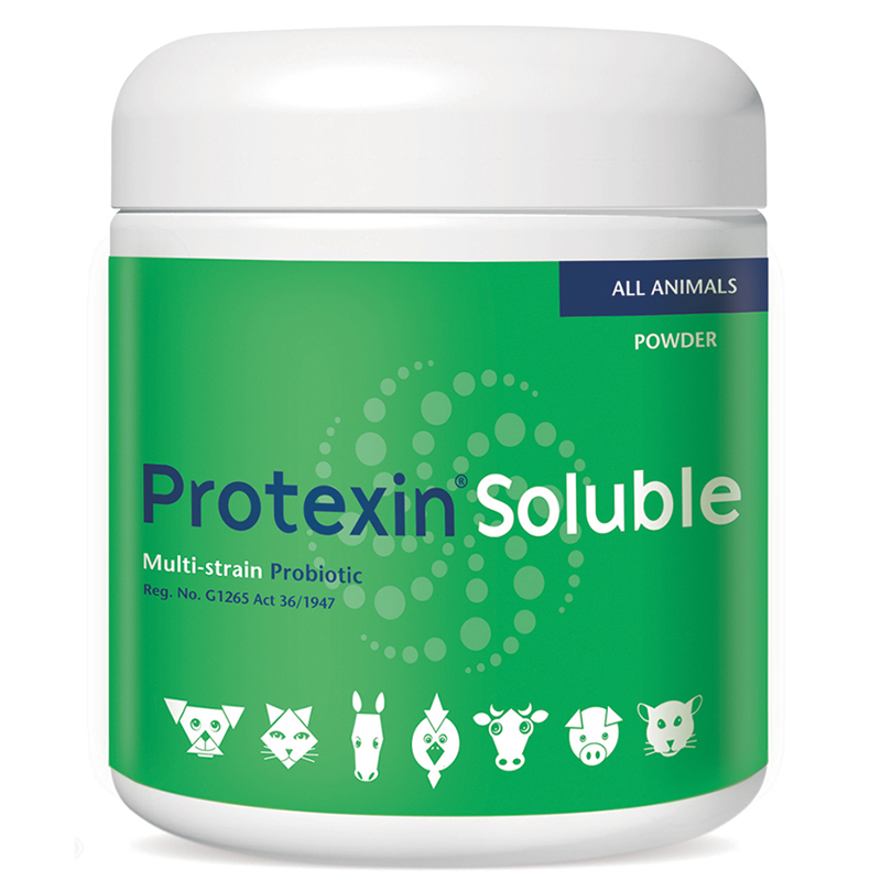 Protexin Soluble - Image 2