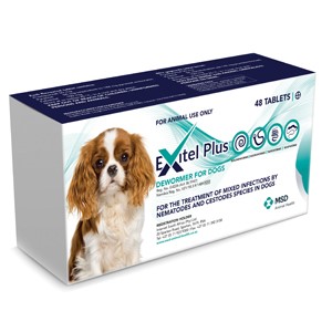 Exitel Plus Dog